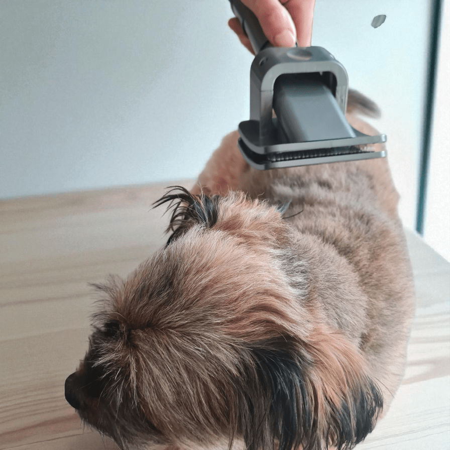 UFO Hundeleine von Dogswelt