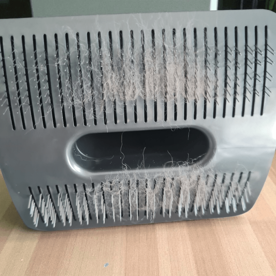 UFO Hundeleine von Dogswelt