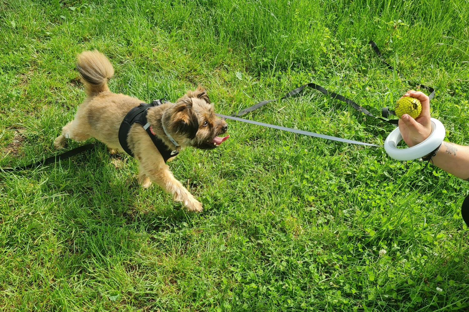 UFO Hundeleine mit 360° Drehgelenk und Reflexstreifen“