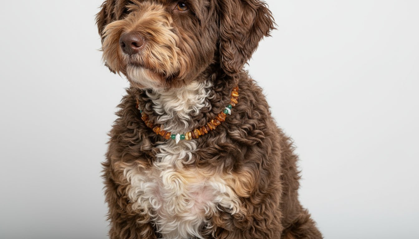 UFO Hundeleine von Dogswelt