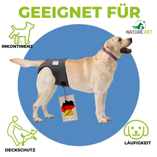 UFO Hundeleine von Dogswelt