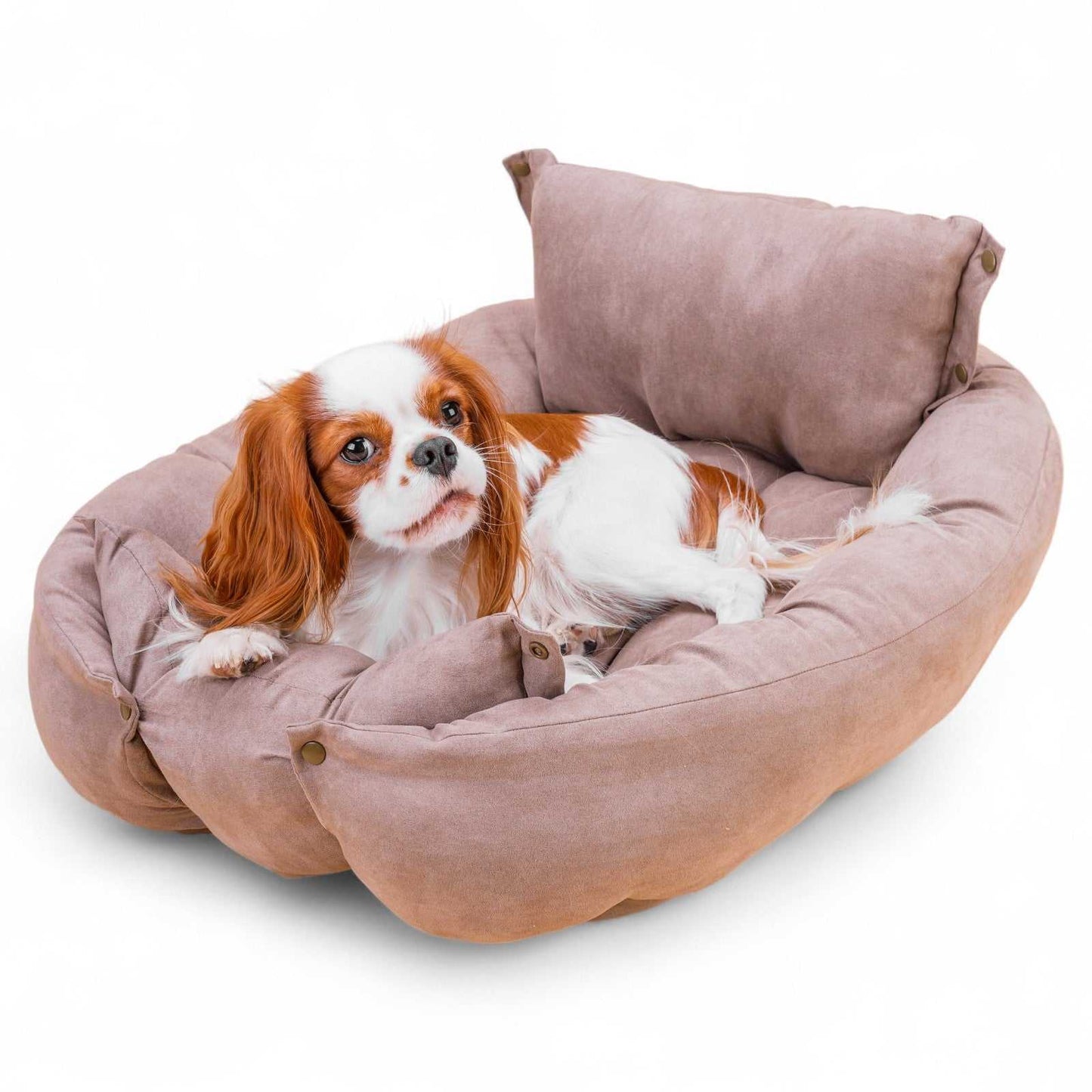 UFO Hundeleine von Dogswelt