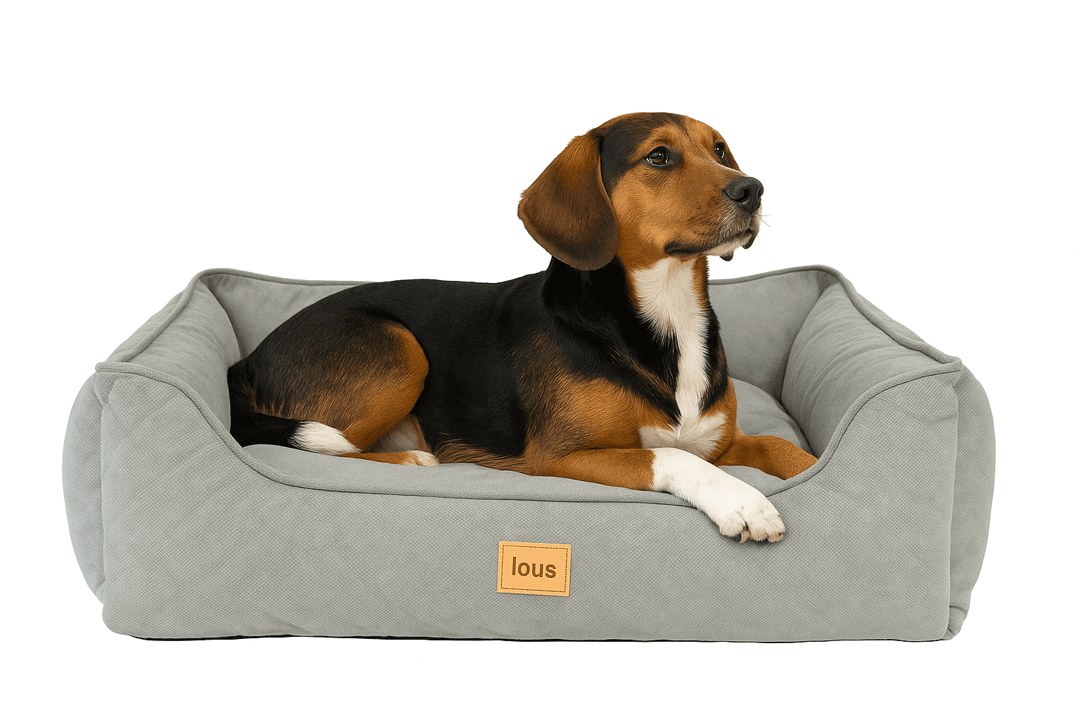 UFO Hundeleine von Dogswelt