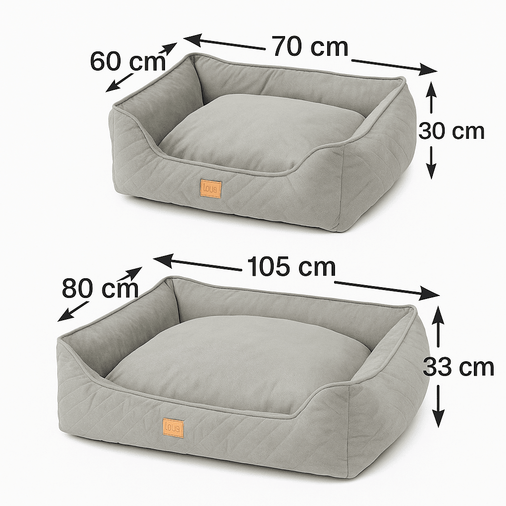 UFO Hundeleine von Dogswelt