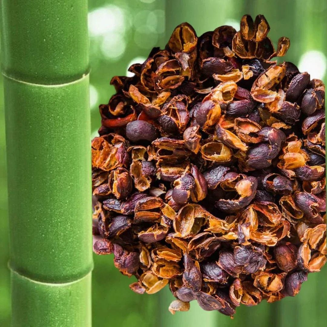 UFO Hundeleine von Dogswelt