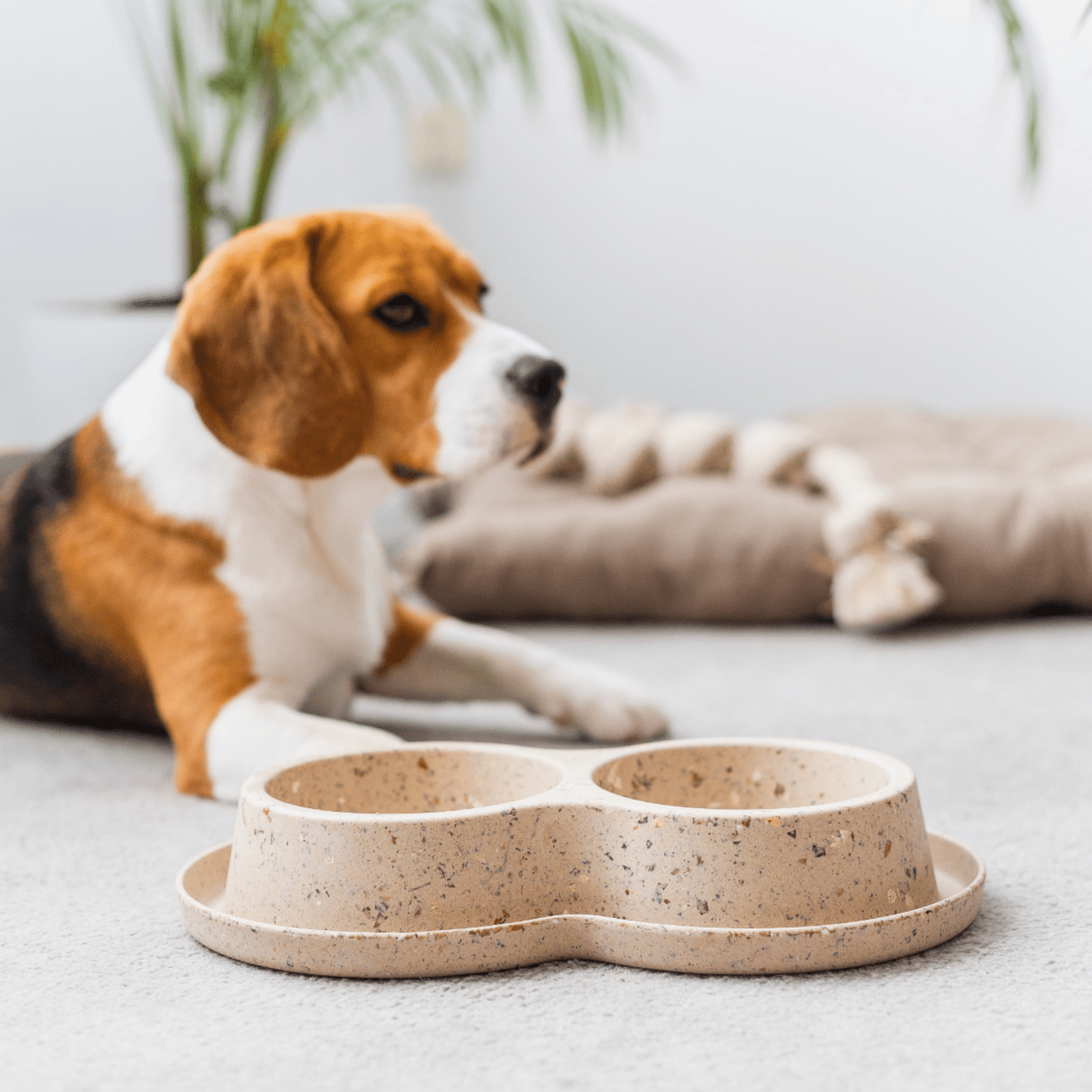 UFO Hundeleine von Dogswelt