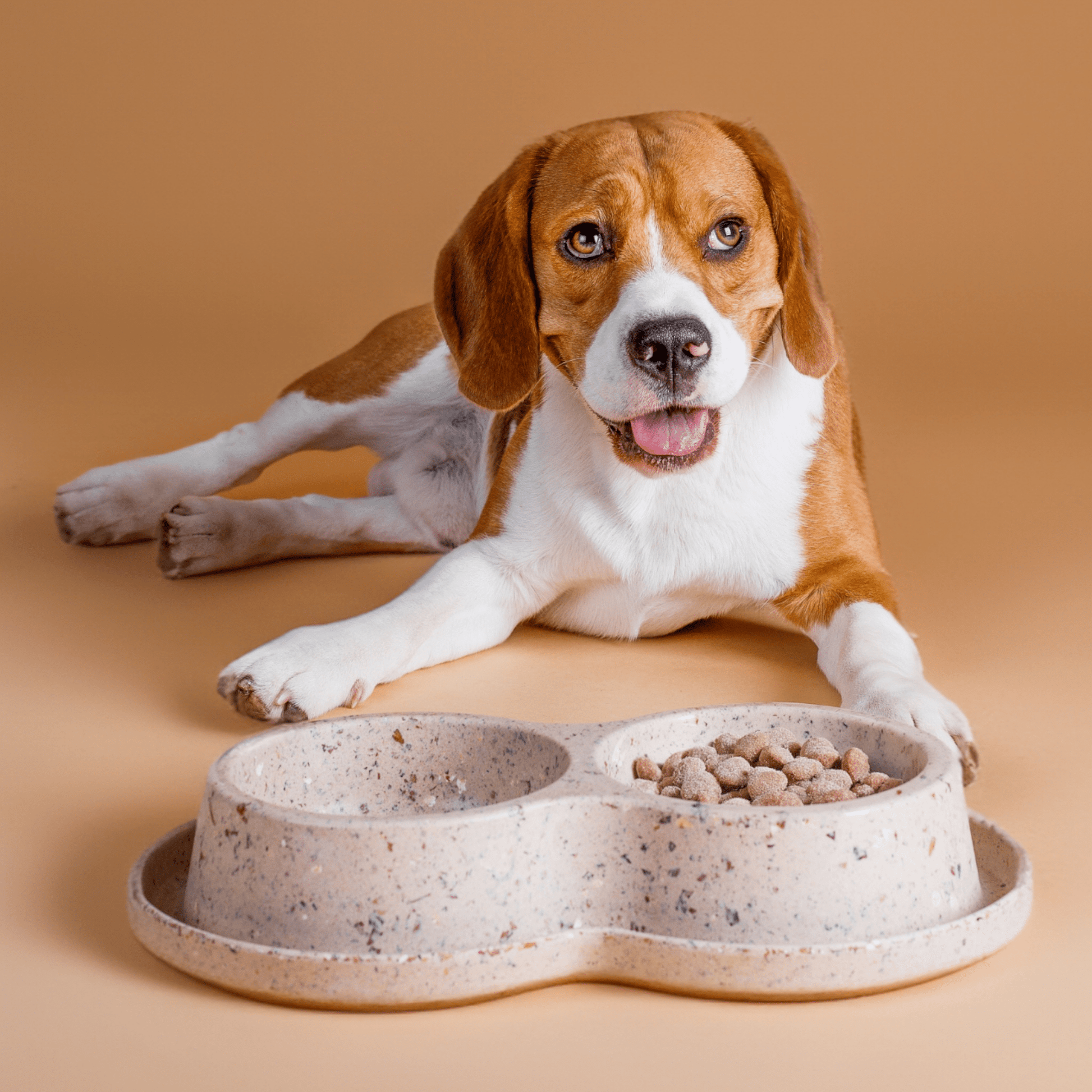 UFO Hundeleine von Dogswelt