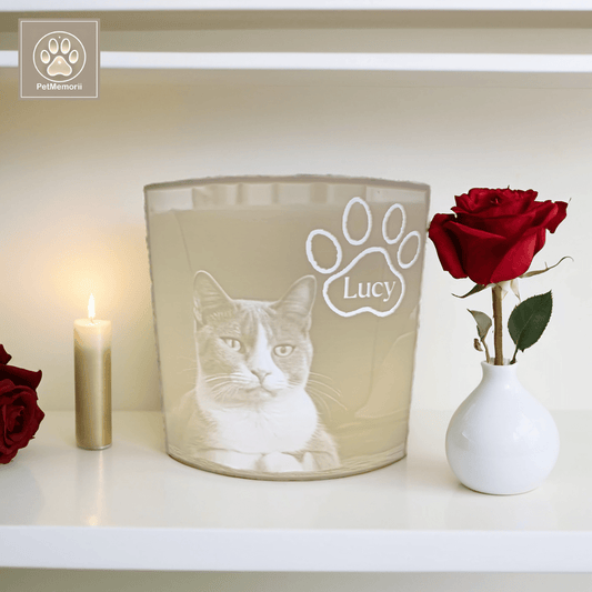 UFO Hundeleine von Dogswelt