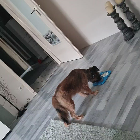 „Leckmatte Hund für Beschäftigung und Stressabbau“