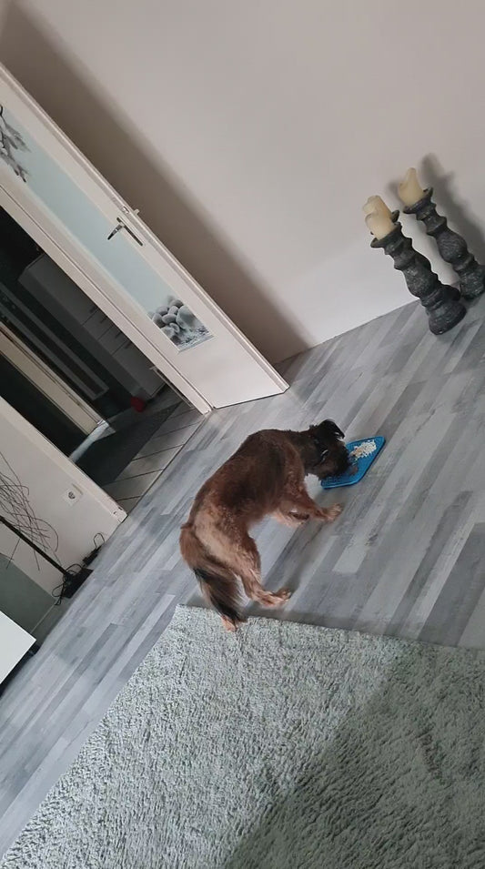 „Leckmatte Hund für Beschäftigung und Stressabbau“