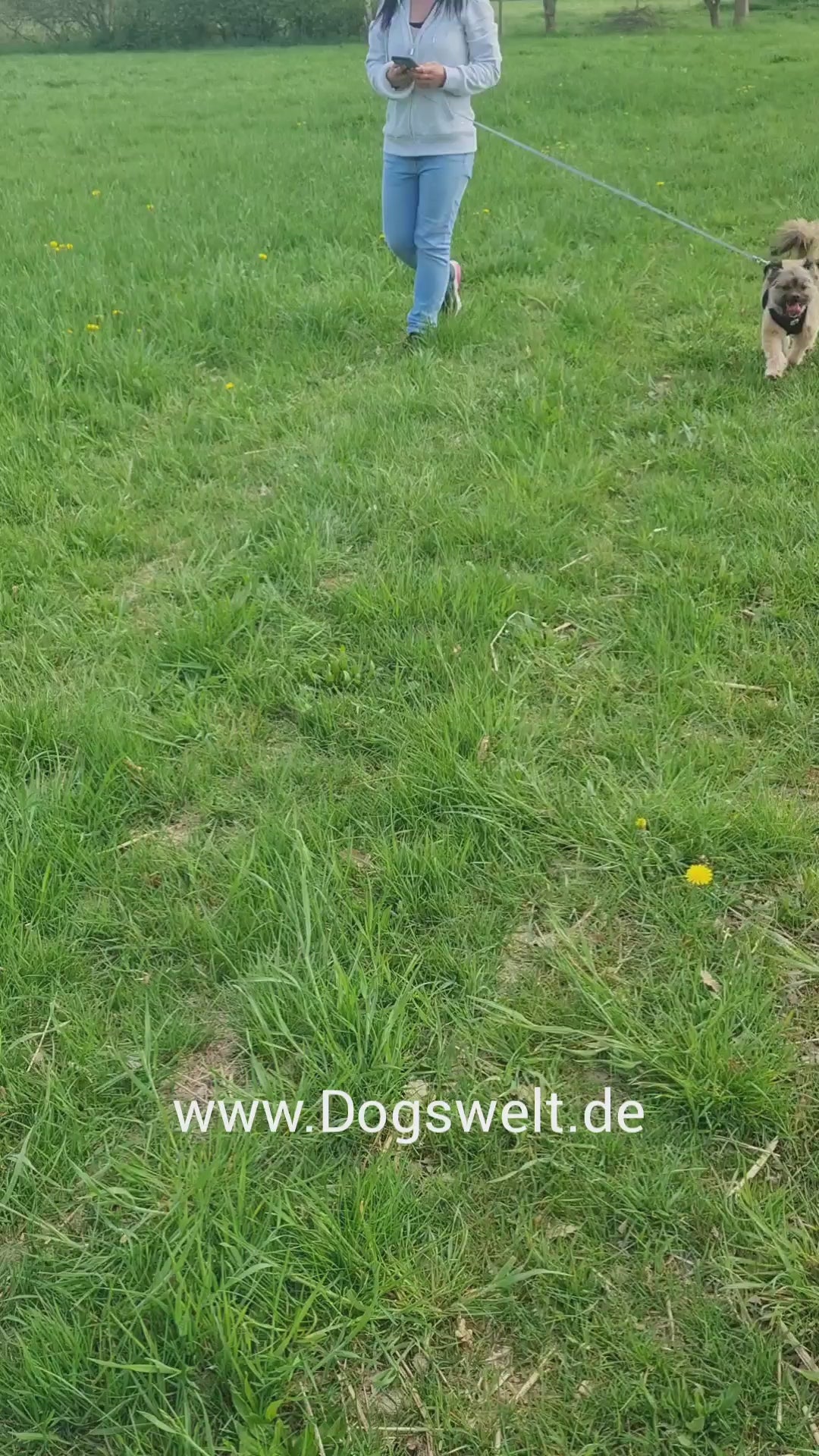 Video laden: UFo Hundeleine wird vorgestellt Frau geht mit Hund Gassi