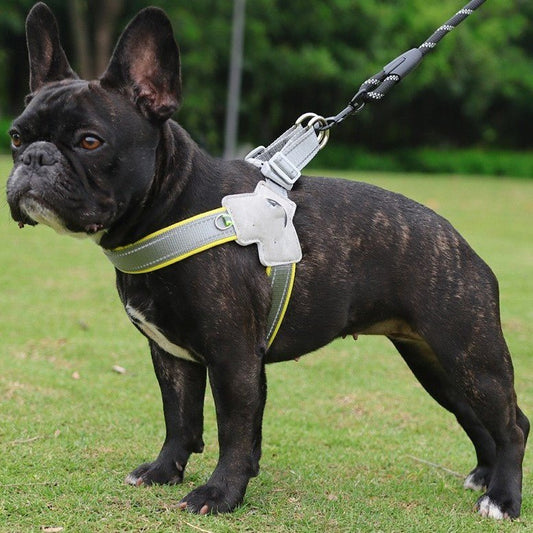 UFO Hundeleine von Dogswelt