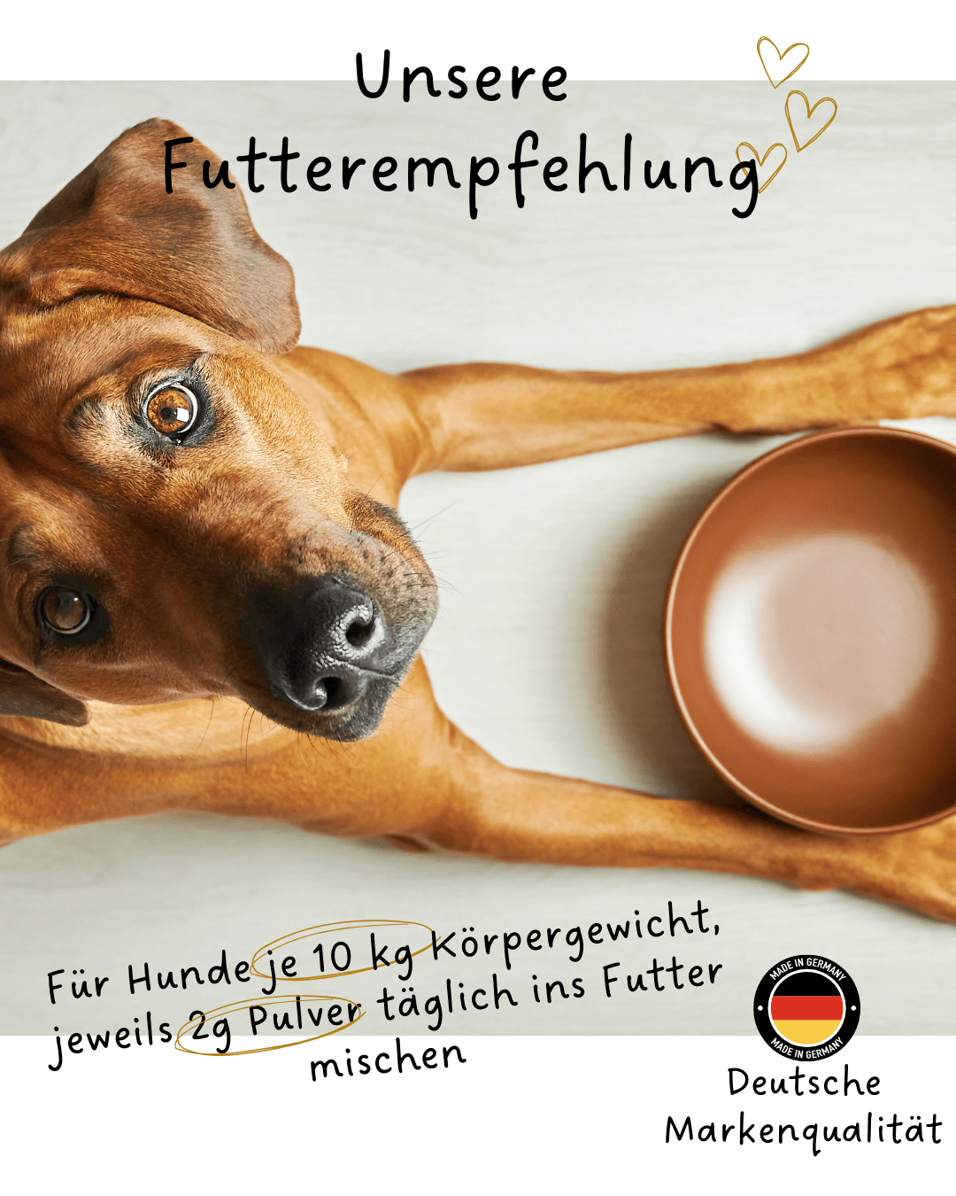 UFO Hundeleine von Dogswelt