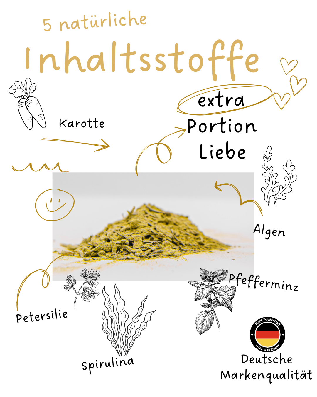 UFO Hundeleine von Dogswelt