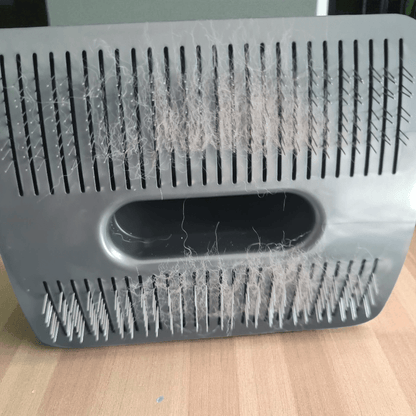 UFO Hundeleine von Dogswelt